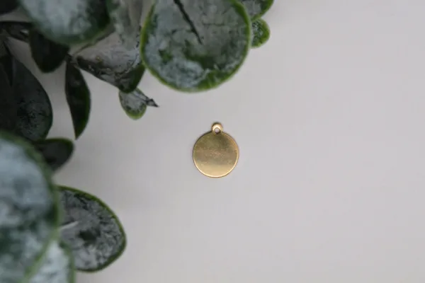 Gold Filled Blank Disc